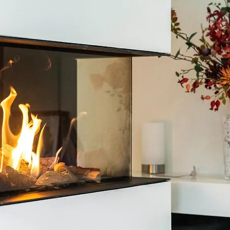 Luxe Vrijstaande Recreatiewoning Met Tuinsauna